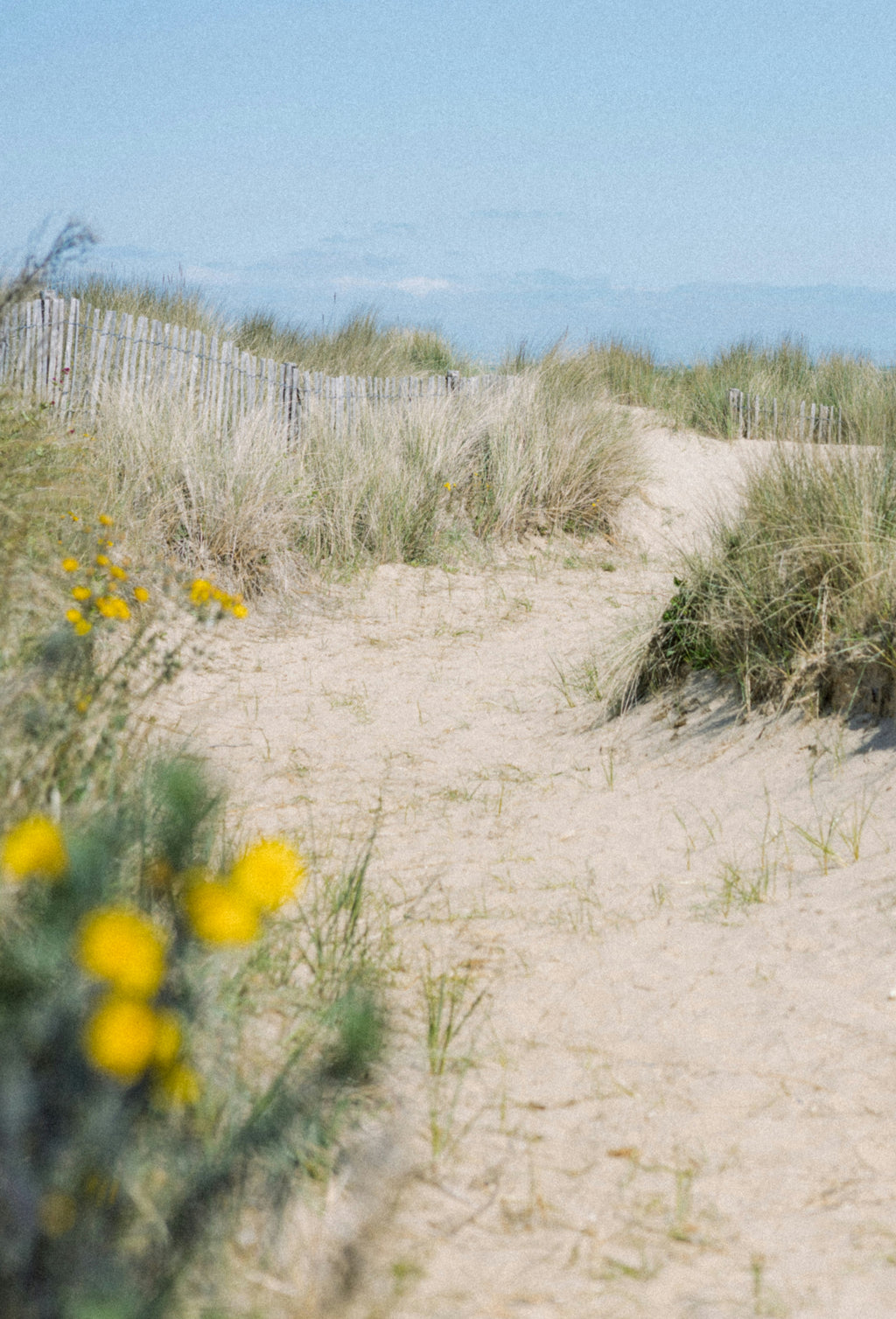 SCENTED CANDLE PRAIA - SUMMER SCENT MADE WITH SOY WAX