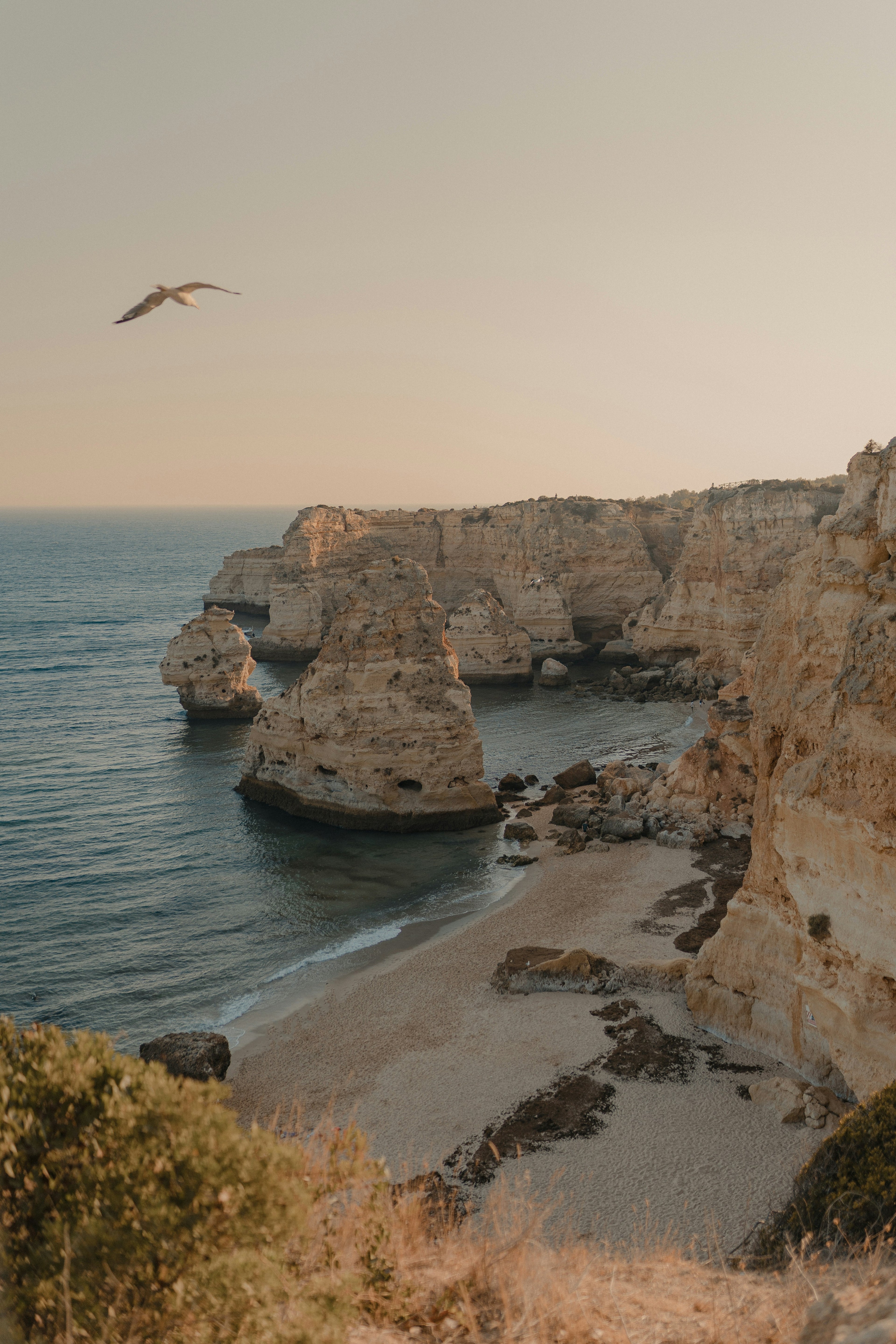 SCENTED CANDLE ALGARVE - A FRESH SCENT MADE WITH SOY WAX