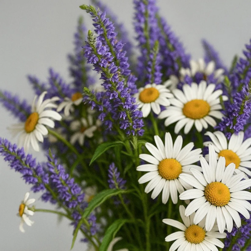 Duftkerze Chamomile